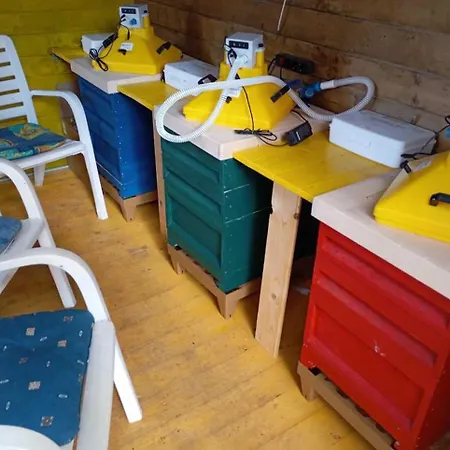 Accommodatie bij particulieren Haus Der Kunst